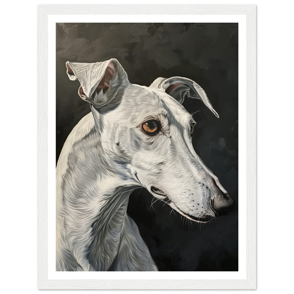 White Whippet - Rembrandt - Poster